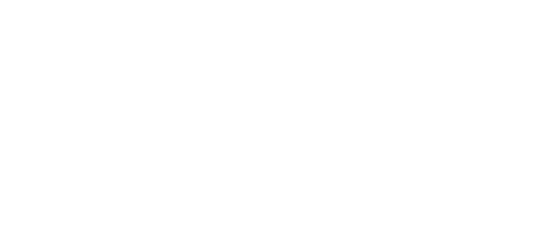 NISSAN-2